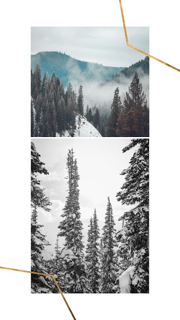 Cabin & Campfire - Facebook Story template