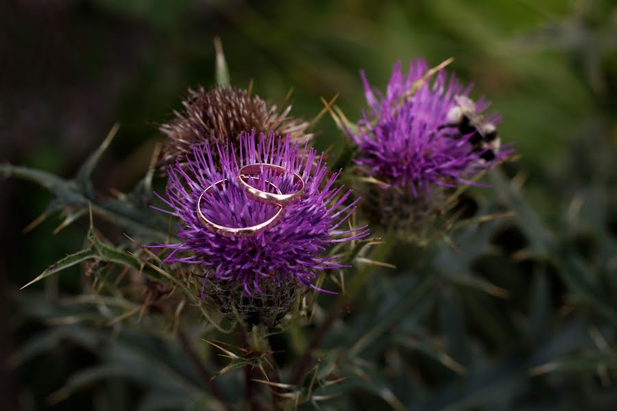 Fotografo di matrimoni Elena Igonina (eigonina). Foto del 10 settembre 2018