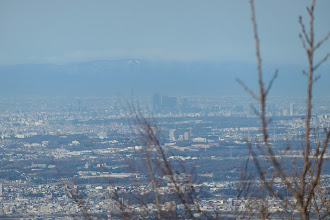 名古屋市アップ（後方は養老山地）