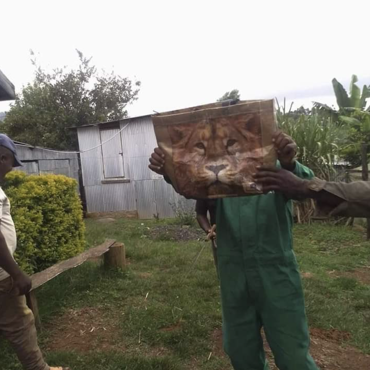 A wildlife service member holds up the bag in question.