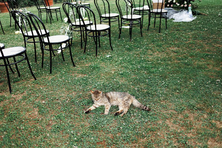 Fotografer pernikahan Yana Shpitsberg (shpitsberg). Foto tanggal 27 September 2023