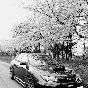 インプレッサ WRX STI GVF