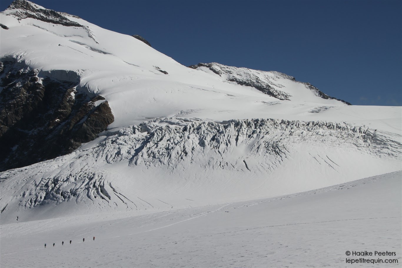 Steingletscher (Le petit requin)