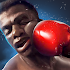 Boxing King -  Star of Boxing2.8.5002
