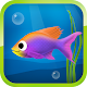 Best Hungry Fish Download on Windows