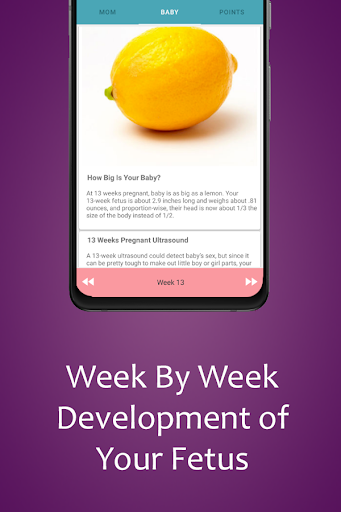 Womens Health Calendar  Pregnancy  period