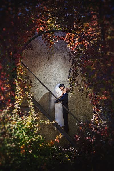 Photographe de mariage Aleksey Shuklin (ashuklin). Photo du 28 janvier 2015