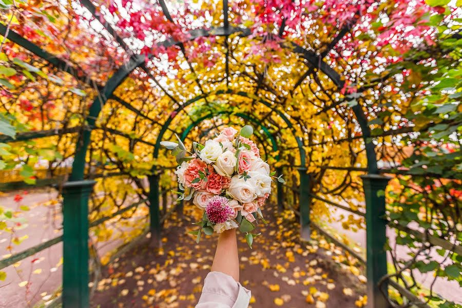 Wedding photographer Dmitriy Ivanov (dimaivanov123). Photo of 11 October 2019