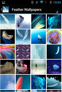 Feather Wallpaper photos - náhled