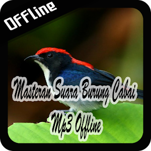 Download Masteran Suara Burung Cabai Mp3 Offline For PC Windows and Mac