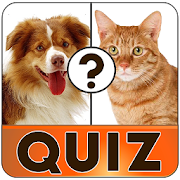 Free english vocabulary quiz  Icon