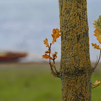 L'avamposto del lago di 