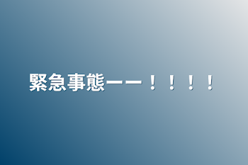 緊急事態ーー！！！！