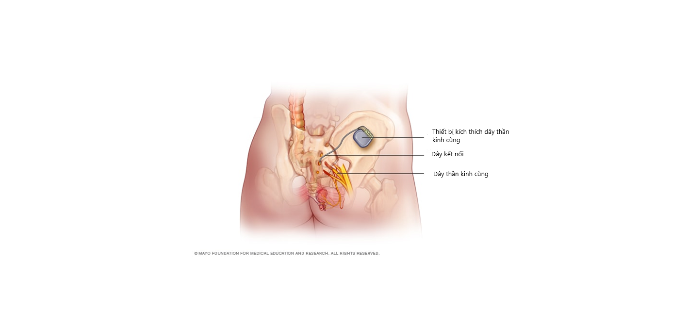 Diagram

Description automatically generated