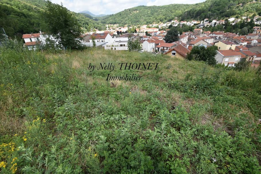 Vente terrain  725 m² à Royat (63130), 98 000 €