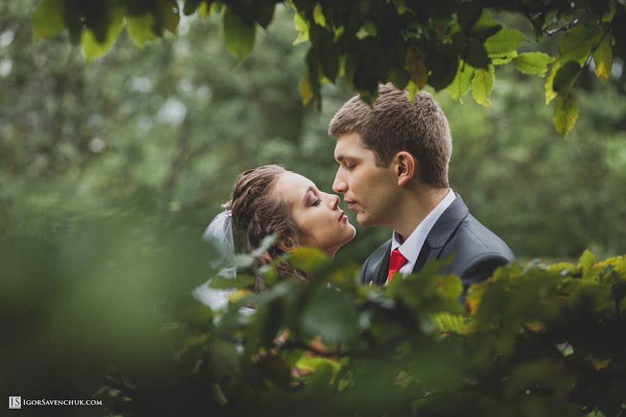 Wedding photographer Igor Savenchuk (igorsavenchuk). Photo of 12 January 2014