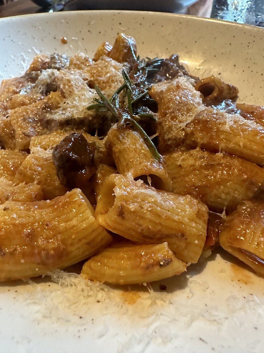 GF rigatoni with short rib ragu