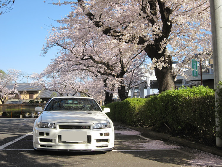 スカイライン GT-RのスカイラインGT-R・Rを嗜む💕・桜とコラボ🌸に関するカスタム事例の投稿画像3枚目