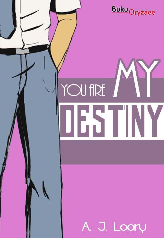 Novel  You Are My Destiny Screen 1