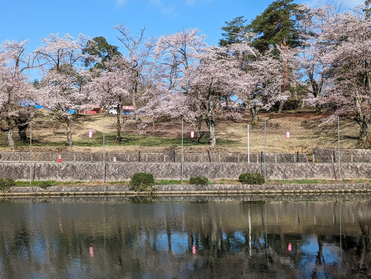 の投稿画像14枚目