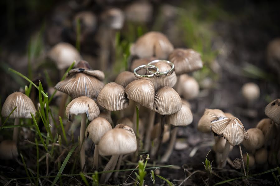 Fotografer pernikahan Torjay Attila (torjayattila). Foto tanggal 5 Januari 2022