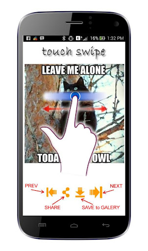 免費下載媒體與影片APP|Cat Meme Picture app開箱文|APP開箱王