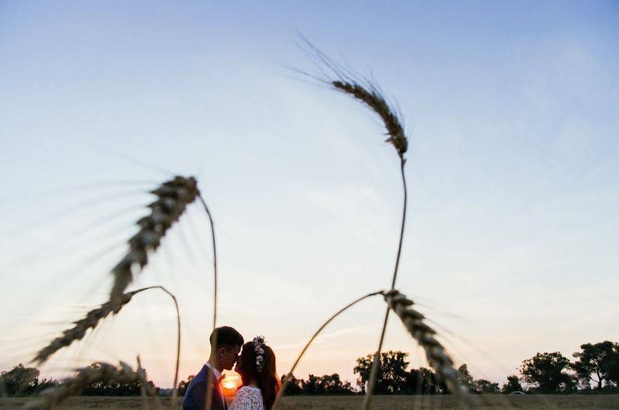 Fotografo di matrimoni Aleksey Klimov (fotoklimov). Foto del 23 febbraio 2017