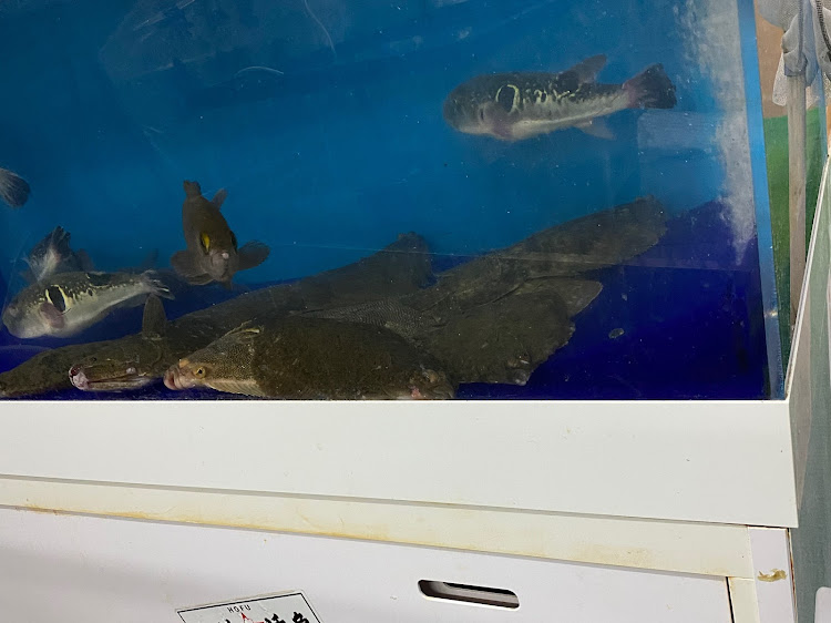 ハイゼットトラックの春🌸よ来い・お魚ざんまい・魚屋ですが　なにか・みんな元気ならそれがよいのです・また逢いたいね　みんなにに関するカスタム事例の投稿画像2枚目
