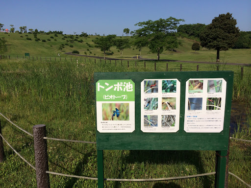 萩の台公園　トンボ池