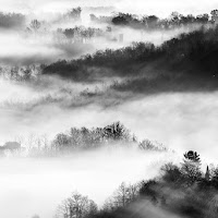 Nebbia verticale di 