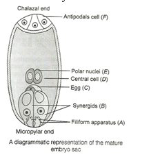 Solution Image