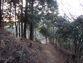 横の鉄塔へ