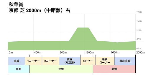 秋華賞_コース画像