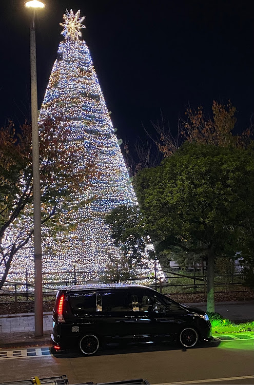セレナのクリスマスツリー・クリスマスイルミネーション・冬は、寒くてイヤ〜🤣・C26 SERENA OWNERS CLUB・また来年のクリスマスでに関するカスタム事例の投稿画像2枚目