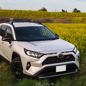 RAV4 MXAA54