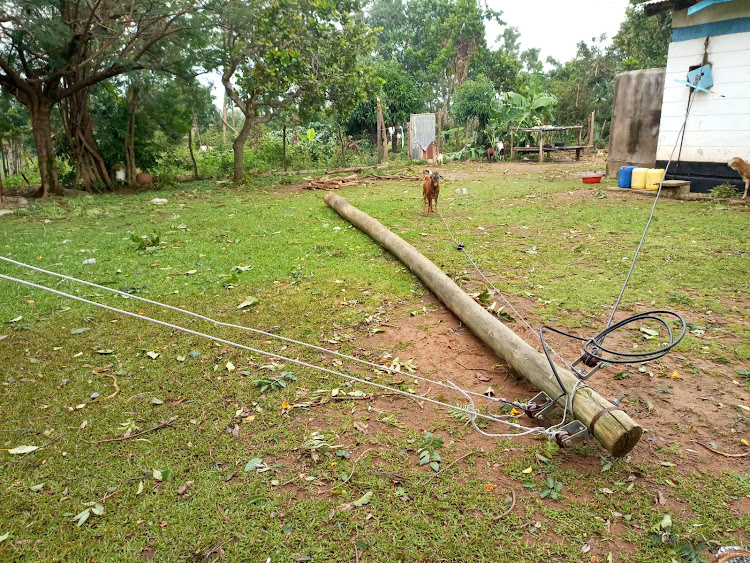 An electric pole that fell as a result of the heavy at one of the homes in Kakurikit village.