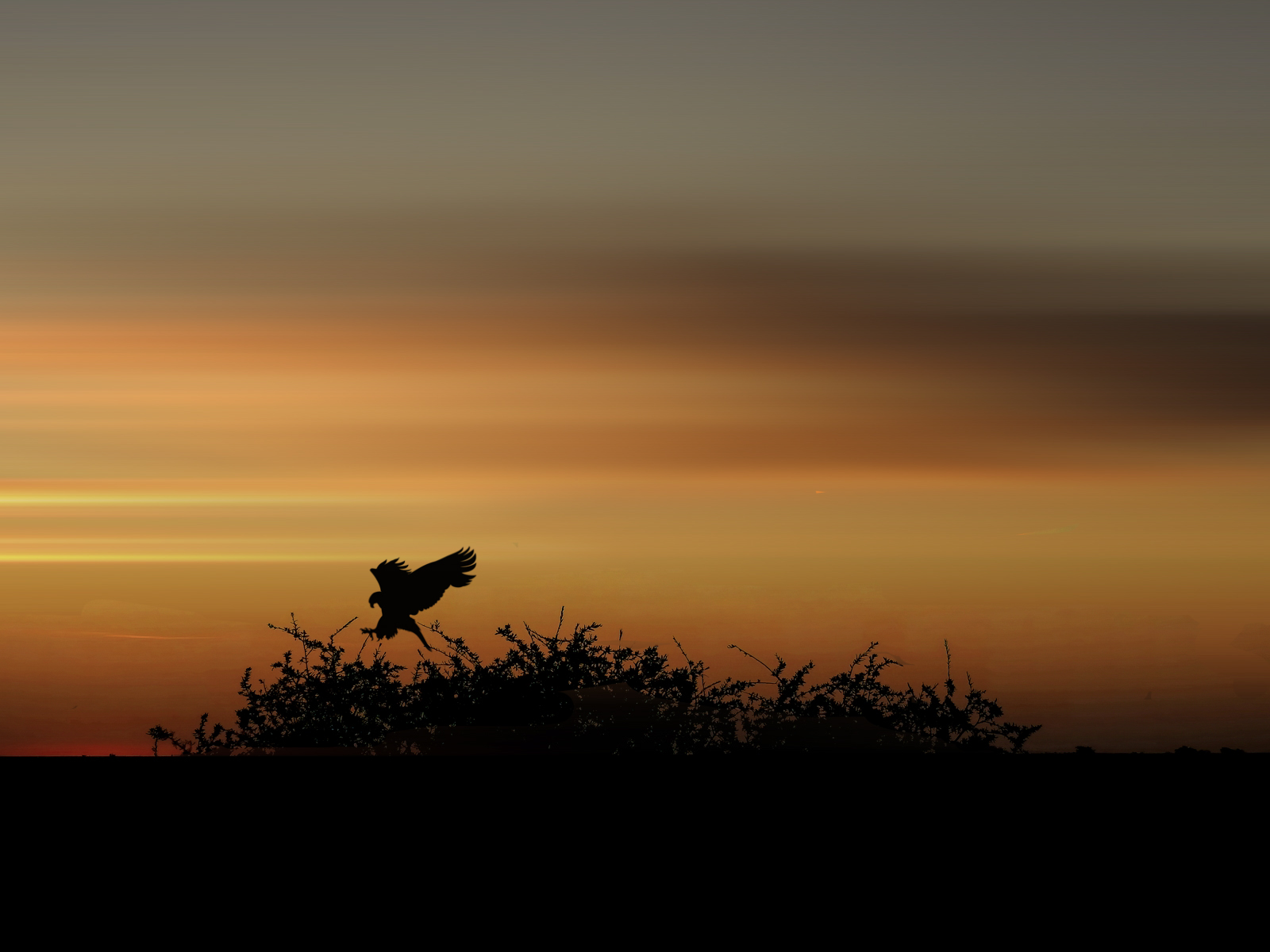 Tramonto namibiano di LUNA17