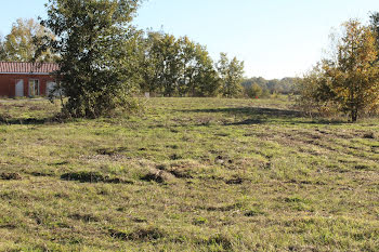 terrain à Nègrepelisse (82)