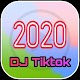 Download Dj Tiktok Terbaru 2020 Offline For PC Windows and Mac 1.0