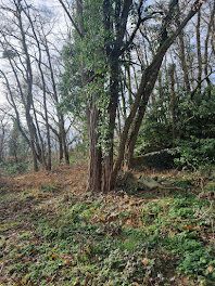 terrain à Marcoussis (91)