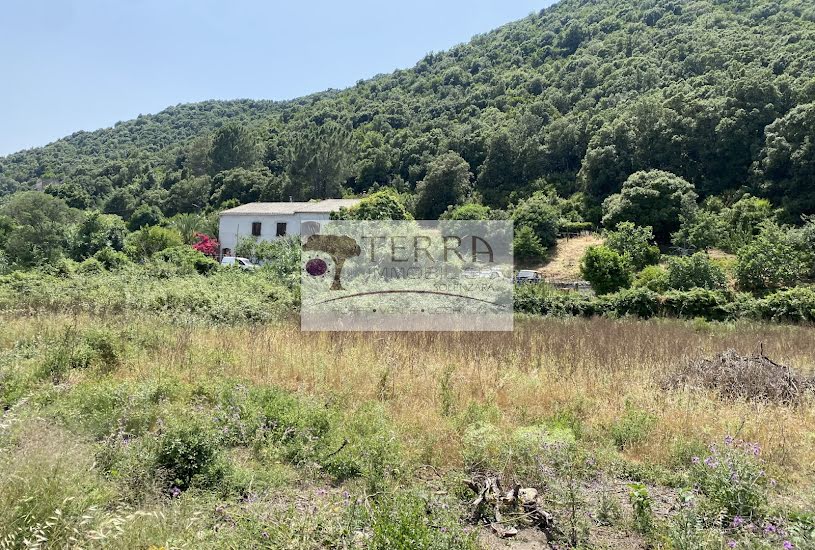  Vente Terrain à bâtir - 1 100m² à Isolaccio-di-Fiumorbo (20243) 