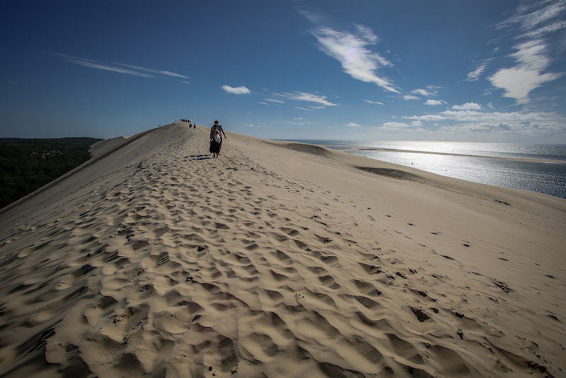 Dune di Albifog