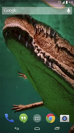 Alligator Live Wallpaper