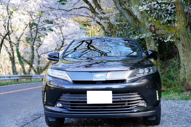 ハリアーのサクラと愛車・ハリアー60系後期・奥琵琶湖パークウェイ・ドライブに関するカスタム事例の投稿画像1枚目