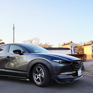 CX-30