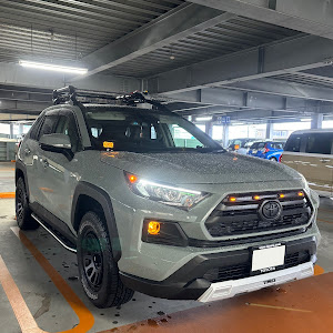 RAV4 MXAA54