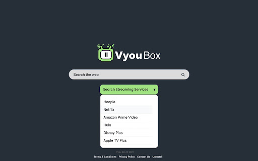 Vyou Box