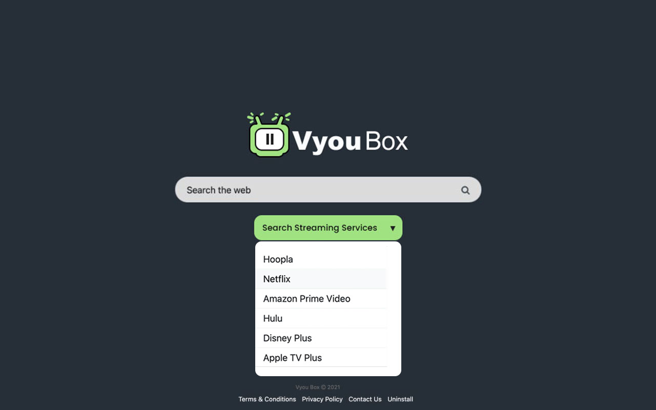 Vyou Box Preview image 4