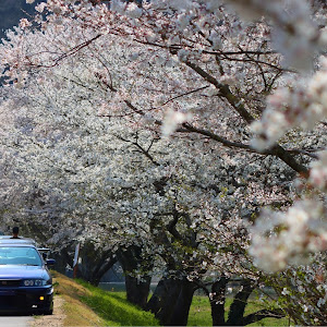 スカイライン GT-R R33