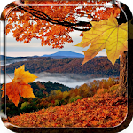 Cover Image of Download Falling Leaves Live Wallpaper 4.1 APK